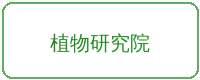 免费看片合作品牌植物研究院
